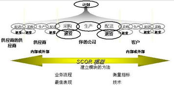 集成供應鏈 軟件開發(fā)視角下的體系重構(gòu)與價值創(chuàng)造